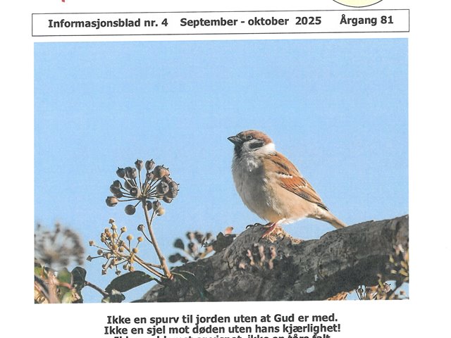 Menighetsbladet